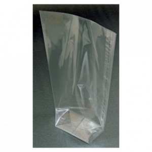 Trimmed corner sachet 250 x 160 mm (100 pcs)