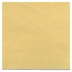 Serviette ouate ivoire 2 plis 33 x 33 cm (lot de 1200)